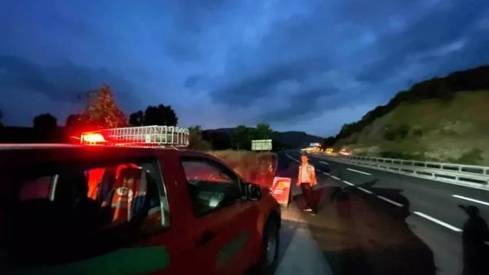 Bilecikte Orman Varligi Icin Denetimler Suruyor