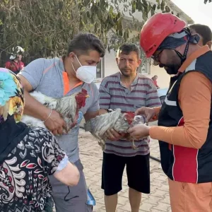 Canakkalede Orman Yangini Sacakli Koyu Buyuk Hasar Gordu