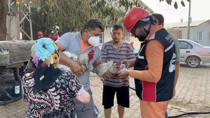 Canakkalede Orman Yangini Sacakli Koyu Buyuk Hasar Gordu