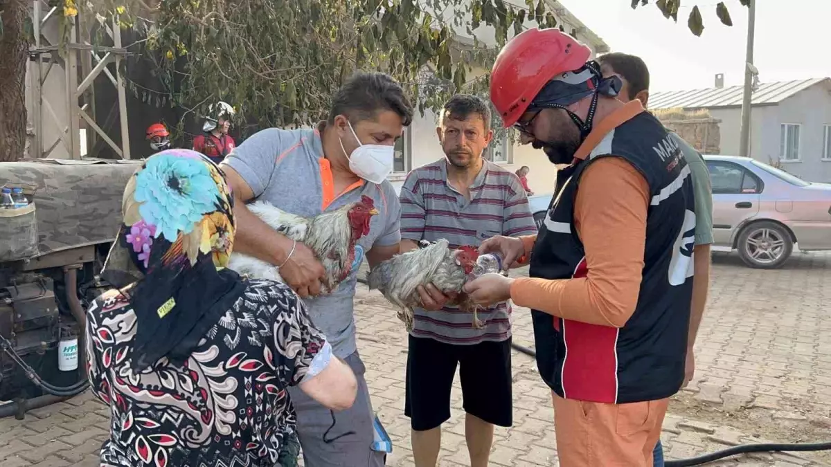 Canakkalede Orman Yangini Sacakli Koyu Buyuk Hasar Gordu