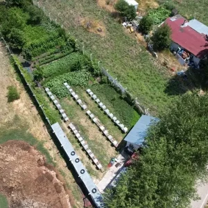 Cubukta Cicek Bali Hasadi Basladi