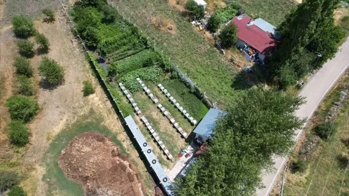 Cubukta Cicek Bali Hasadi Basladi