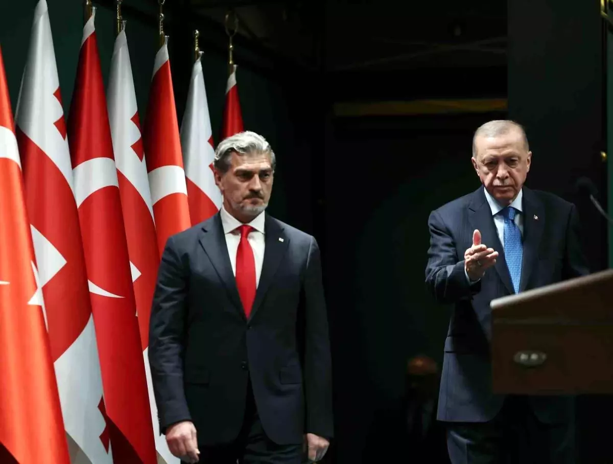Cumhurbaskani Erdogan Gurcistan ile yeni ticaret hedefimiz 5 milyar dolara