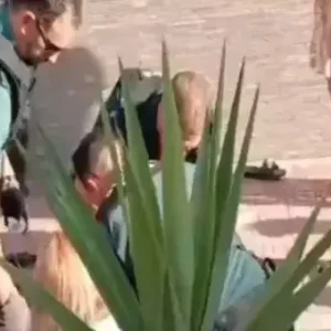 Daltonlar cetesi yoneticisi Caner Kocere ne oldu Caner Kocer oldu