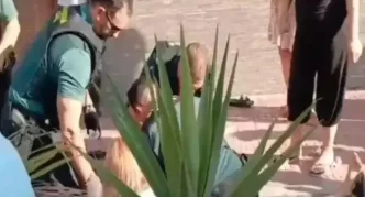 Daltonlar cetesi yoneticisi Caner Kocere ne oldu Caner Kocer oldu