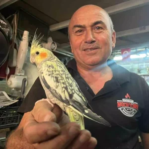 Dede Meslegini Doga ile Birlestiren Esnaf Kuslarla Yasayan Mustafa Gokturk