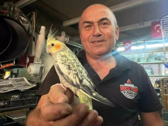 Dede Meslegini Doga ile Birlestiren Esnaf Kuslarla Yasayan Mustafa Gokturk