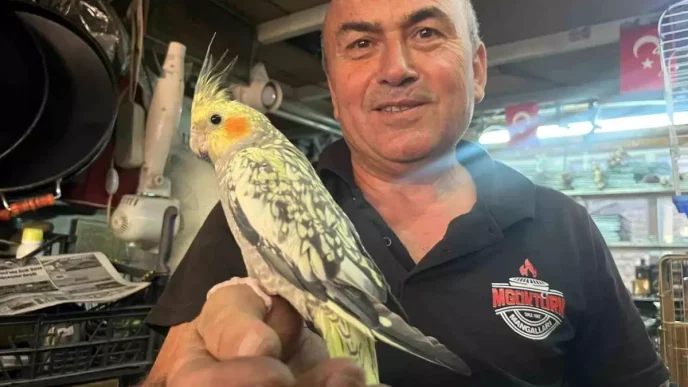 Dede Meslegini Doga ile Birlestiren Esnaf Kuslarla Yasayan Mustafa Gokturk