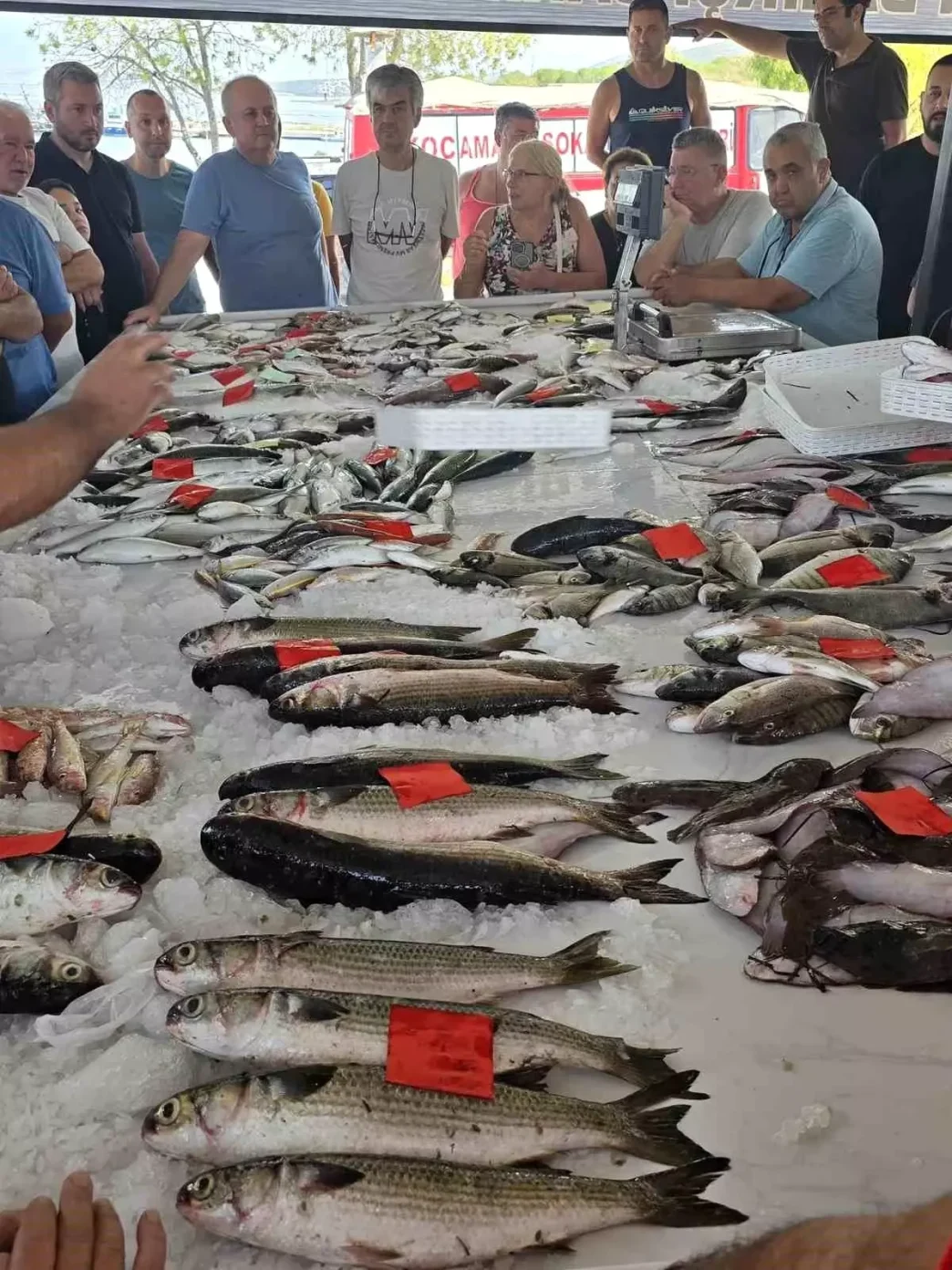 Didimde Ilk Balik Mezati Duzenlendi