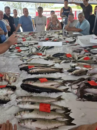 Didimde Ilk Balik Mezati Duzenlendi
