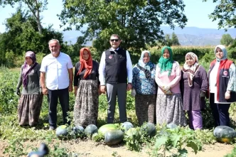 Duzce Valisi Aslan Tarim Uygulama Tarlasini Ziyaret Etti