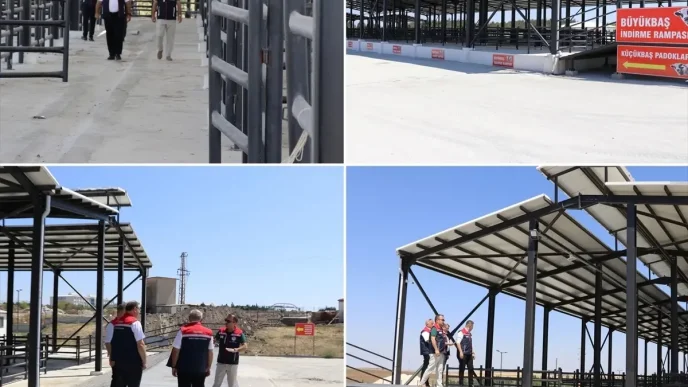 Edirne Tarim ve Orman Muduru Havsa Canli Hayvan Pazarinda Incelemelerde