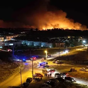 Edirnede Orman Yangini Korkutucu Boyuta Ulasti
