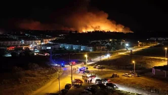 Edirnede Orman Yangini Korkutucu Boyuta Ulasti