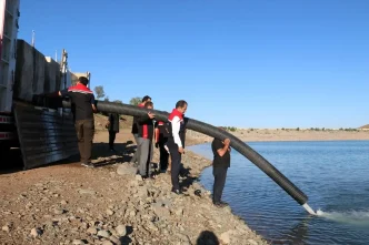 Erzincanda 200 Bin Sazan Yavrusu Su Kaynaklarina Birakildi