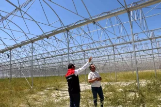 Erzincanda Jeotermal Sera Yatirimlari Devam Ediyor