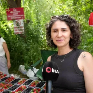Erzincanin Organik Cilek ve Bogurtleni Asiri Sicaklarda Tercih Ediliyor