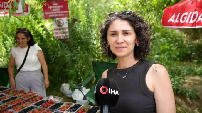 Erzincanin Organik Cilek ve Bogurtleni Asiri Sicaklarda Tercih Ediliyor