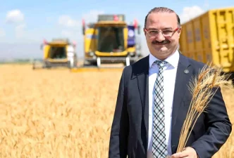 Erzurum Ovasinda Bugday Hasadi Torenle Basladi