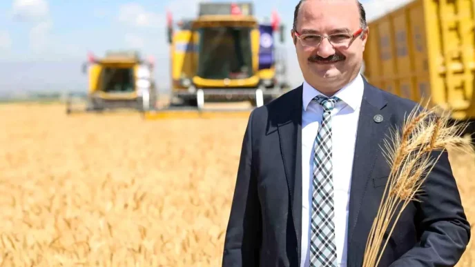 Erzurum Ovasinda Bugday Hasadi Torenle Basladi