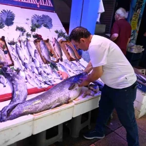 Eskisehirde 40 Kiloluk Dev Yayin Baligi Ilgi Goruyor