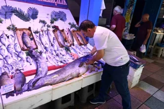 Eskisehirde 40 Kiloluk Dev Yayin Baligi Ilgi Goruyor