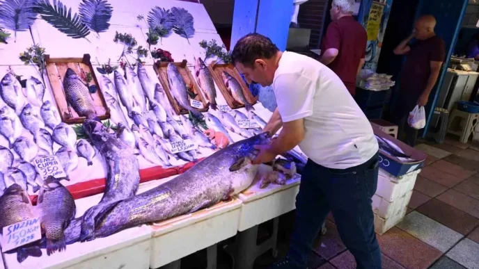 Eskisehirde 40 Kiloluk Dev Yayin Baligi Ilgi Goruyor