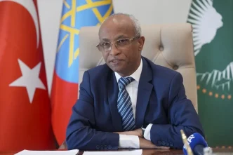 Etiyopyanin Ankara Buyukelcisi Mahmud Ankara Bildirisinin isler durumda olduguna inaniyoruz