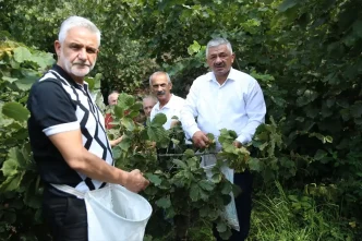 Findik Hasadi Sofularla Basladi Ureticilere Tavsiyeler