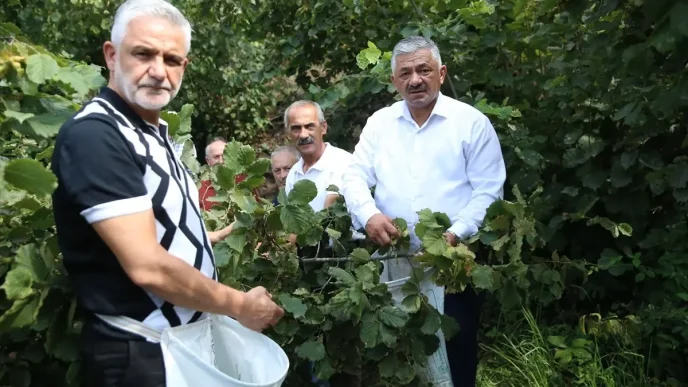 Findik Hasadi Sofularla Basladi Ureticilere Tavsiyeler