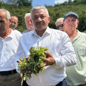 Findik Taban Fiyati Aciklandi TZOBdan Kontrol Mesaji