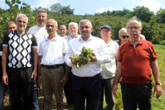 Findik Taban Fiyati Aciklandi Ureticiler Umutlu