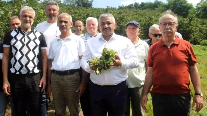 Findik Taban Fiyati Aciklandi Ureticiler Umutlu