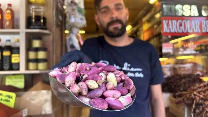 Gaziantepte Antep Fistigi Hasadi Basladi Fiyatlar 500 Liradan Basliyor
