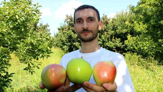 Genc Ciftci Kar ve Don Felaketini Teget Gecerek Elma Hasadina