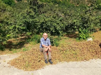 Giresun Ziraat Odasindan Findik Fiyati Uyarisi