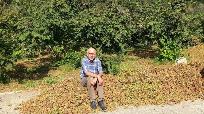 Giresun Ziraat Odasindan Findik Fiyati Uyarisi