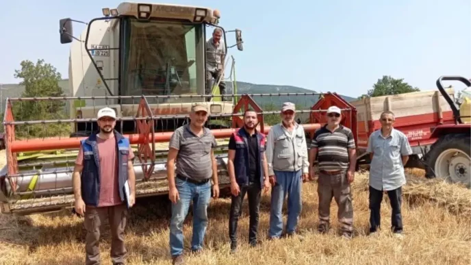 Golpazarinda Hububat Hasadi Devam Ediyor