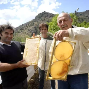 Gumushane 2025 Bal Hasadi Rekoltesiyle Ureticilerin Yuzu Guldu