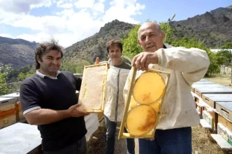 Gumushane 2025 Bal Hasadi Rekoltesiyle Ureticilerin Yuzu Guldu