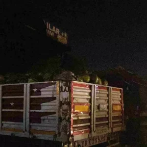 Hatayda Sofbenden Cikan Yangin Manavi Sardi