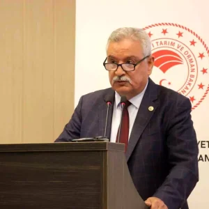 Incir Agaclari da Zeytin Gibi Korunmali