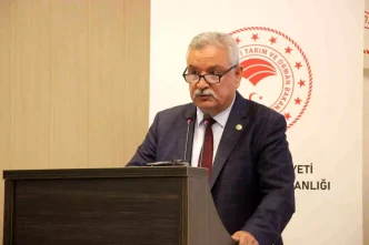 Incir Agaclari da Zeytin Gibi Korunmali