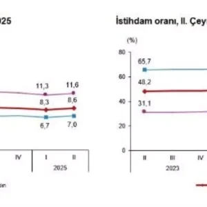 Issizlik Orani 2025 Yili 2 Ceyreginde 86ya Yukseldi