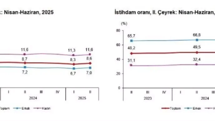 Issizlik Orani 2025 Yili 2 Ceyreginde 86ya Yukseldi
