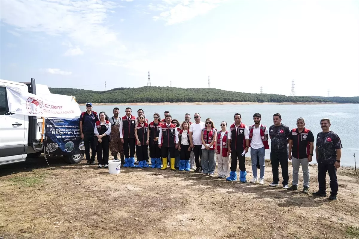 Istanbulda 37 Milyon Sazan Yavrusu Goletlere Birakildi