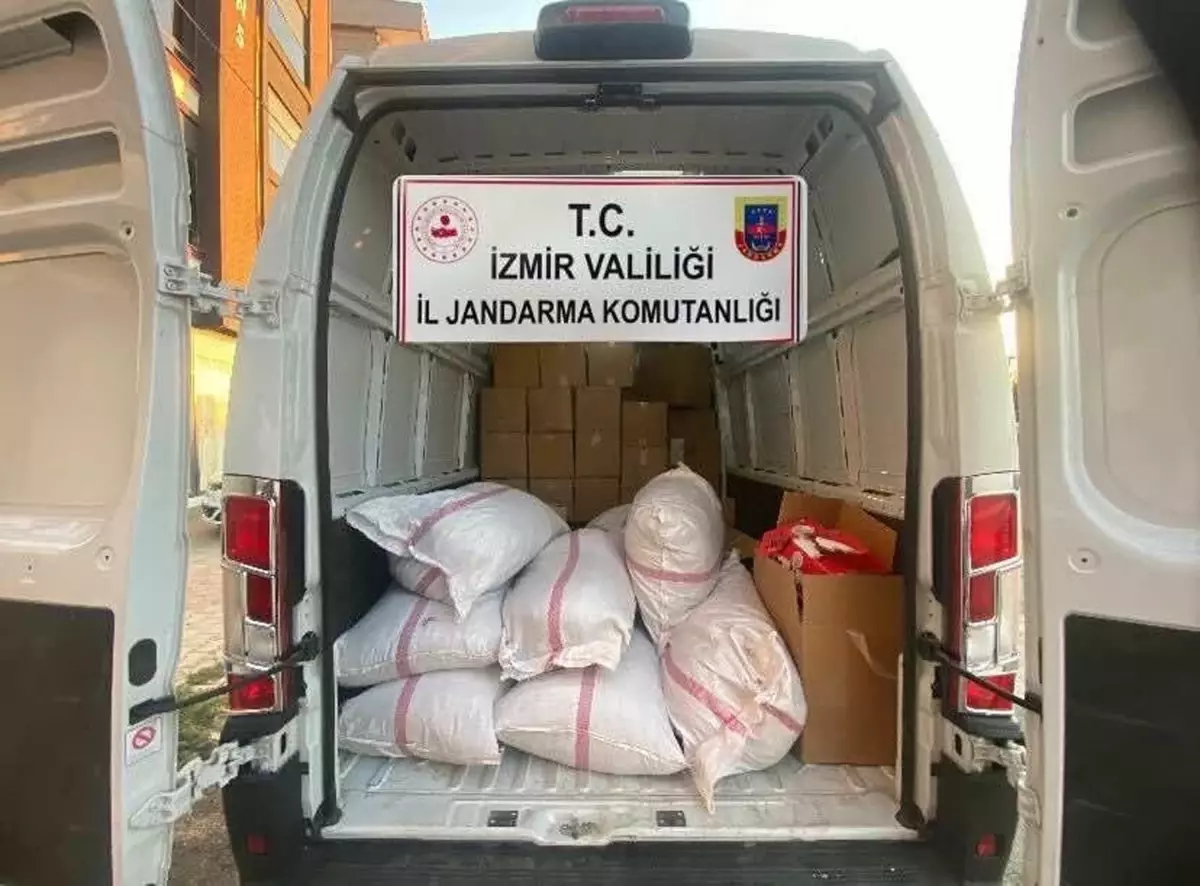 Izmirde Kacak Tutun Operasyonu 4 Milyon TLlik Ele Gecirildi