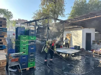 Izmirde Market Kamyonu Yangin Cikardi