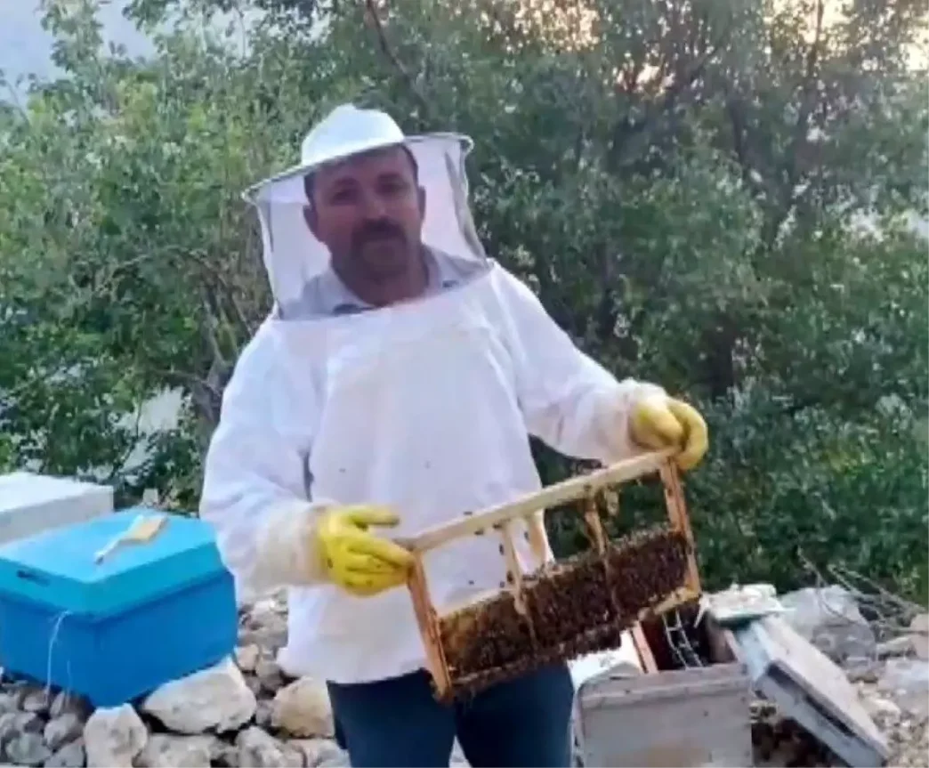 Kahramanmarasta Ayi Saldirisi Aricinin 100 Bin Lira Zarar Ettigi Iddia