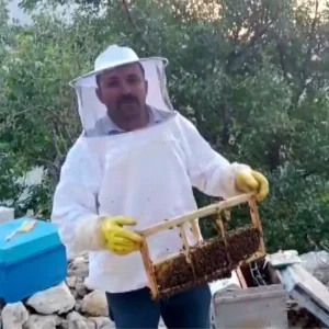 Kahramanmarasta Ayi Saldirisi Aricinin 100 Bin Lira Zarar Ettigi Iddia